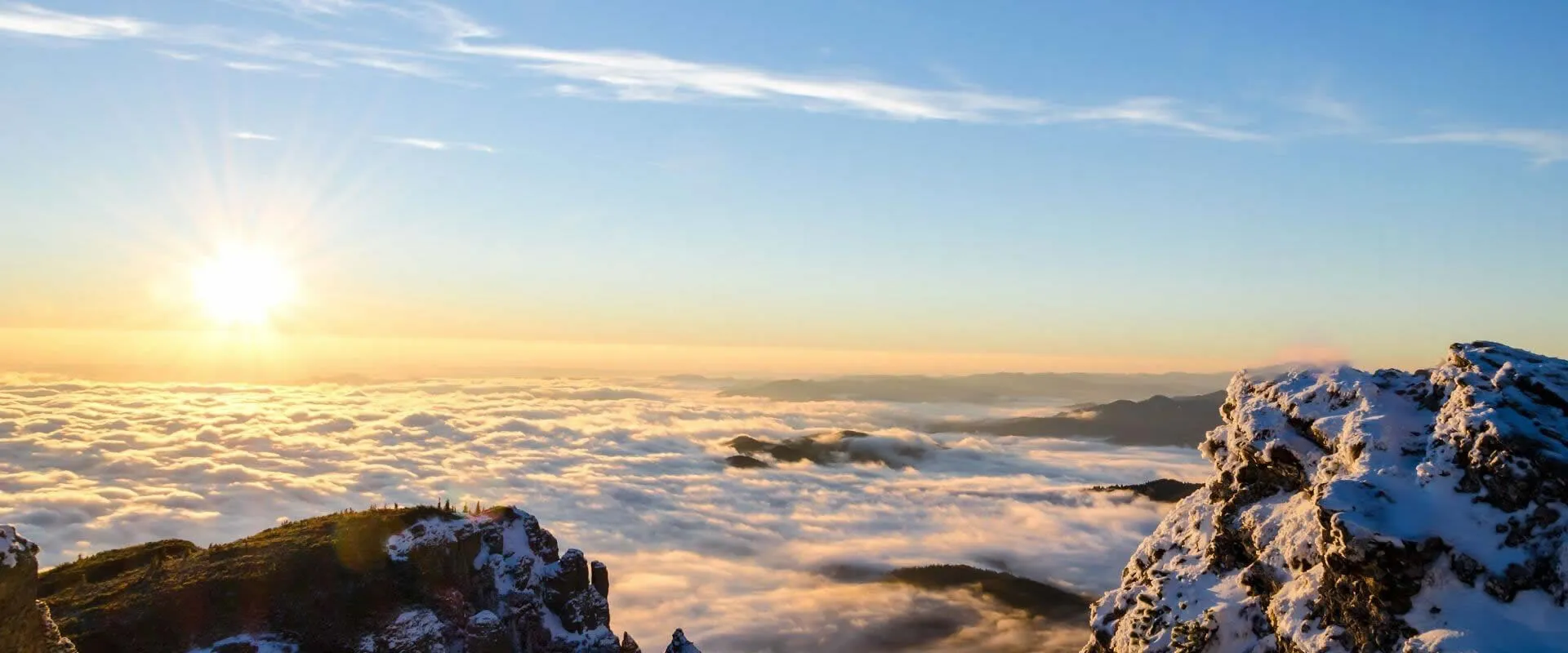 Superior quality and customer-orientated service